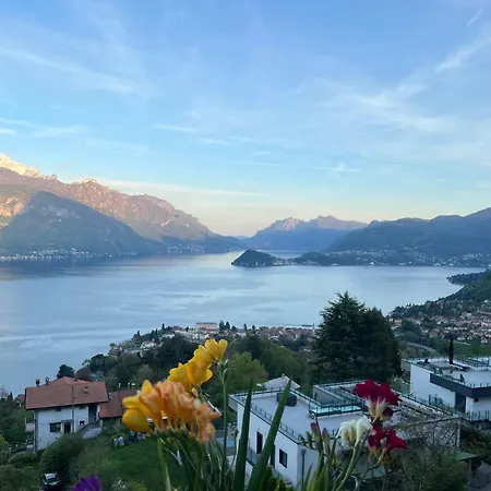 Landscapesilvia Acqua Menaggio